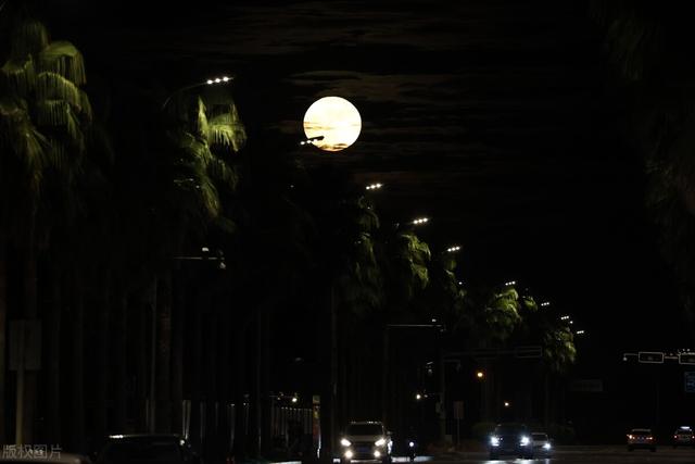 透过开满鲜花的月亮，透过开满鲜花的月亮女生清唱（写给母亲《开满鲜花的月亮》）