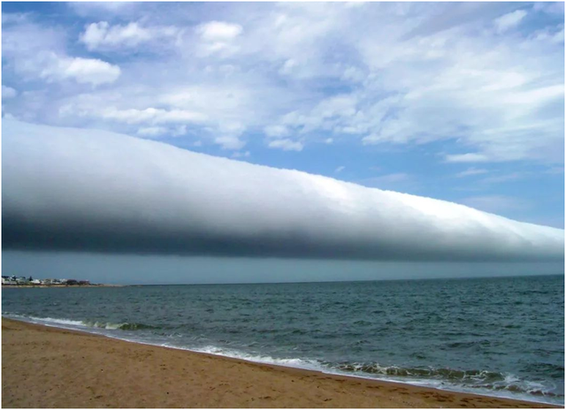 最恐怖的云，最恐怖的动物（河南出现神秘“糙面云”）