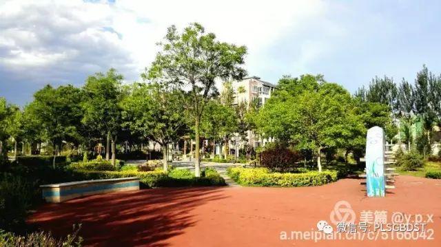 南山公园在哪里，深圳大南山公园开放时间（这是你们熟悉的那个南山公园吗）