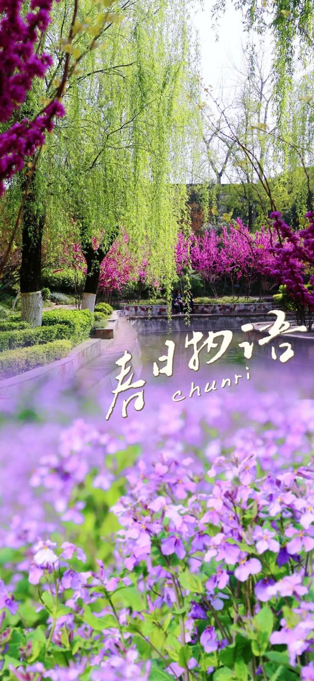 春日出游全攻略！戳→