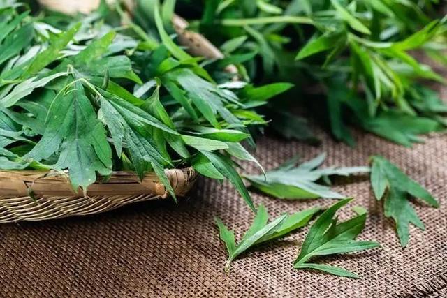 青团是哪里的特产，蒿子粑粑是哪里的特产（江南春天的味道）