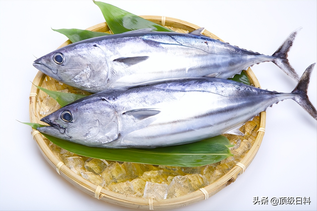 春子怎么烧，葱油蛏子正宗做法（春季日本不可错过的五大时令鱼鲜美味）