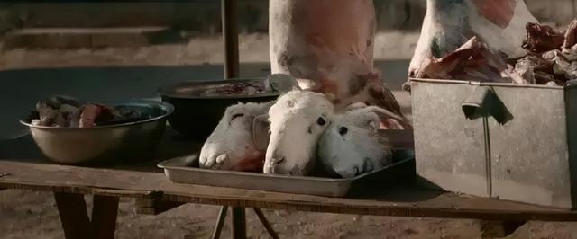 烈日灼心真实事件原型，烈日灼心故事原型（连葛优都救不了的烂片）