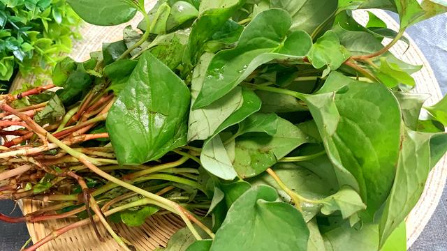 鱼腥草怎么煮水喝，乡下老郎中教我一道鱼腥草茶