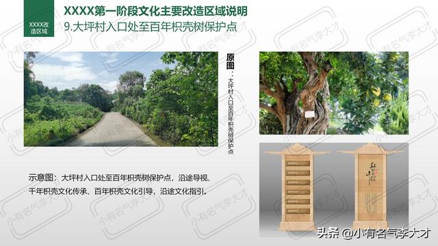 农业产品推广方案，农业品牌综合创建及营销策划方案