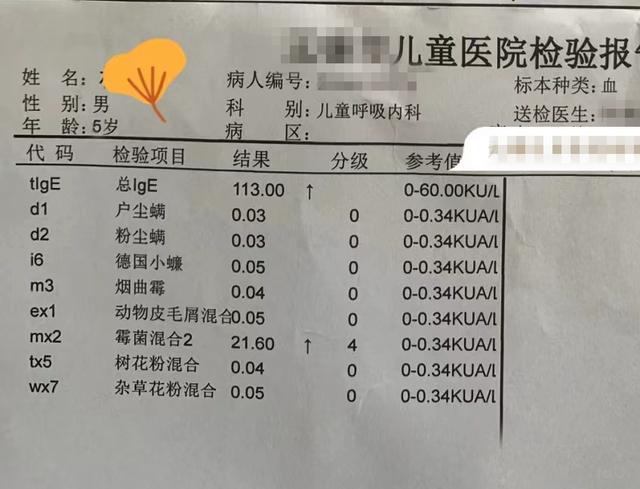 六岁孩子发育迟缓，六岁轻度智力发育迟缓（用最简单的方法8个月长7公分）