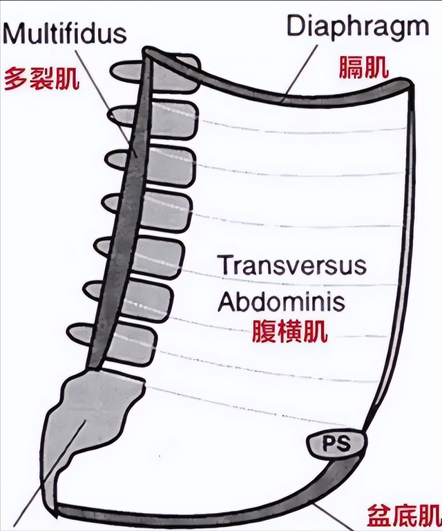 哺乳期女性身体有什么变化，哺乳期妈妈体质会有什么变化（产后身体的变化）