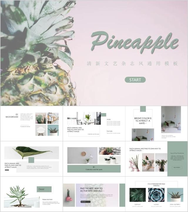 作品展示模板，作品展示区的名字（精选23套文艺唯美PPT模板）