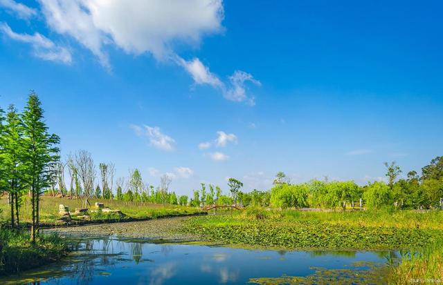 成都必去的十大景点，成都景点排名前十（成都本地人常去的景点TOP10）