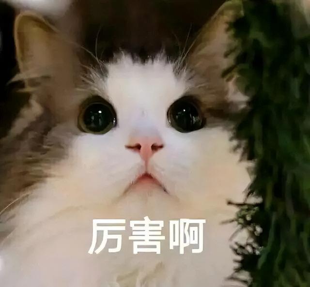九价疫苗多少钱一针，宫颈癌九价疫苗多少钱一针（为什么大家都想打九价疫苗）