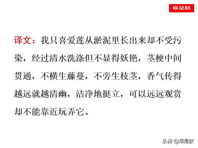 爱莲说原文朗读，爱莲说拼音版原文（部编人教版七年级语文下第17课《爱莲说》周敦颐-诵读+课件）