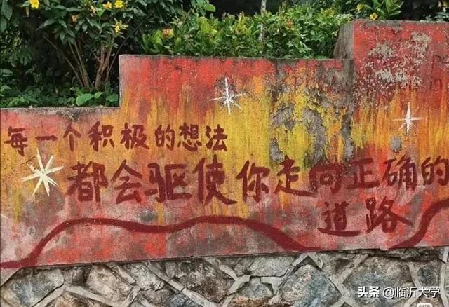 什么盛开四字成语，什么盛开的四字词语有哪些（你若盛开，蝴蝶自来）