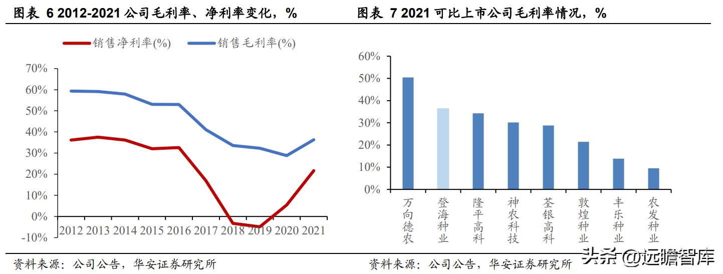 登海先锋种业（玉米种子领军企业）