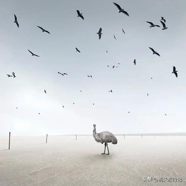 简约黑白线条画人物微信头像，黑白线描画人物头像（2022年黑白极简主义摄影获奖作品）