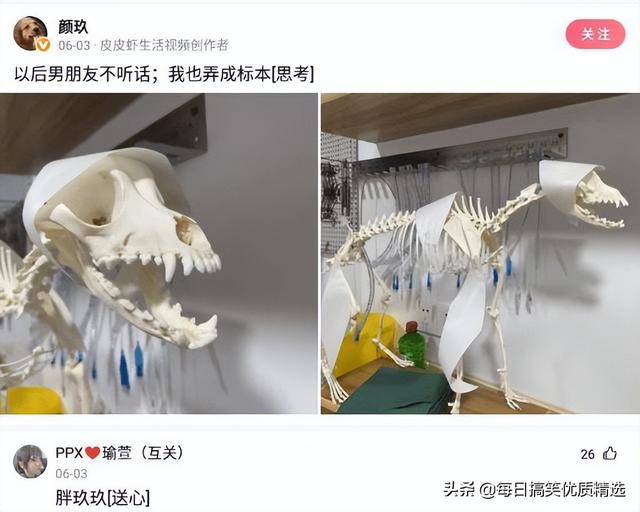 别扒拉我恐龙情侣头像，恐龙情头微信（神回复：这是什么样的古董）