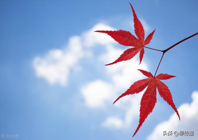 怎么拍照片好看，手机怎么拍照片好看（照片不能“瞎拍”）