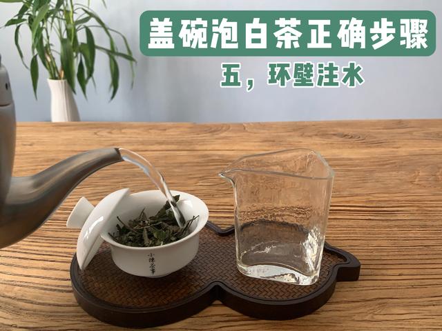 茶道入门泡茶顺序，茶道入门茶道基本步骤（教你用最少的时间从菜鸟到高手）