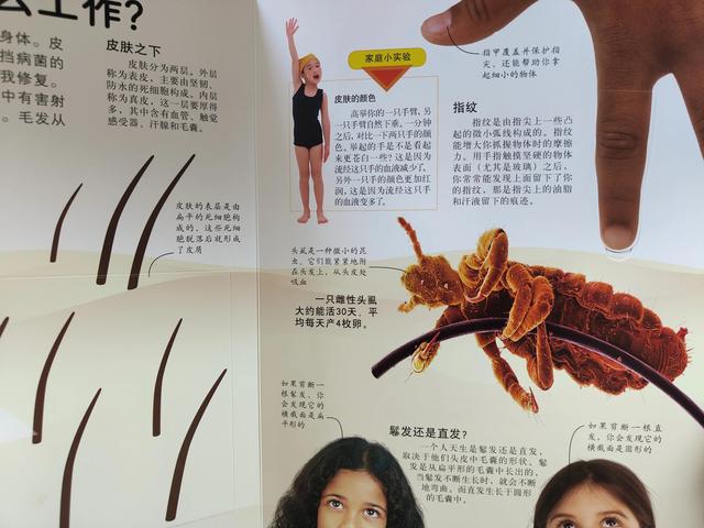 有哪些女性必须知道的性知识，有哪些女性必须知道的性知识和技能（关于人体揭秘，这本书太好玩了）