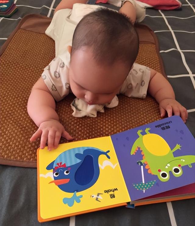 八个月宝宝早教，八个月宝宝早教内容有哪些（7-10个月宝宝语言发育特点）