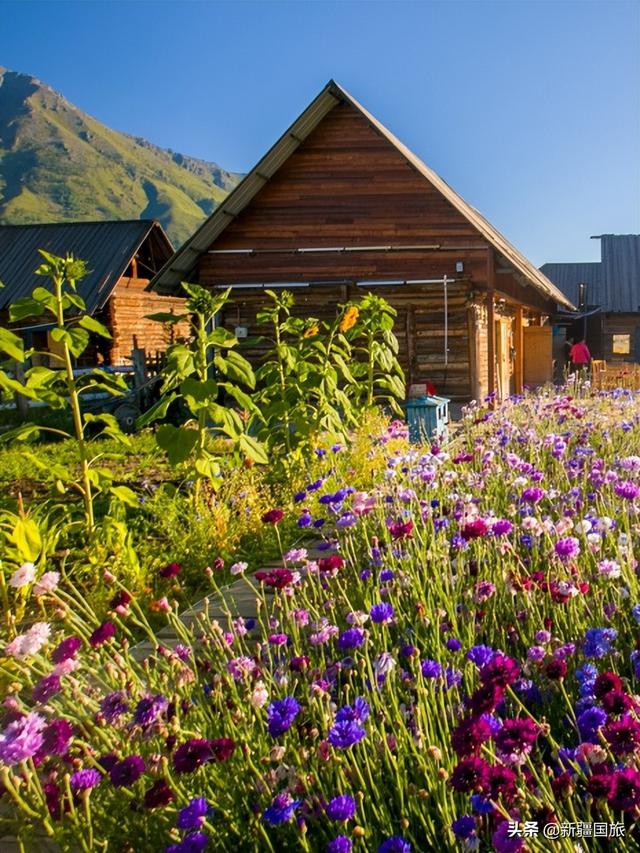 胡天八月即飞雪上一句，胡天八月即飞雪上一句诗句是什么（来这个中国西部最北端的乡小住一个月）