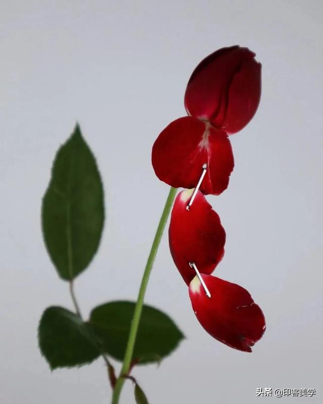 夏家三千金大结局，夏家三千金80集电视剧（为什么总是强行大团圆）