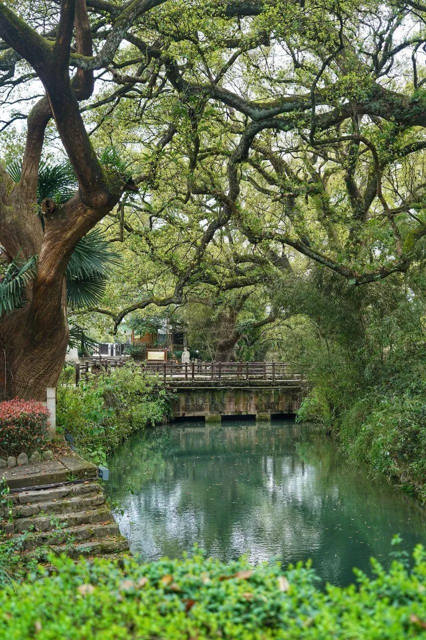 桃花源水上人家（寻一处静谧古镇小住几日）