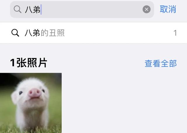 iphone相册，iphone如何保护自己的相册（iPhone的正确打开方式）