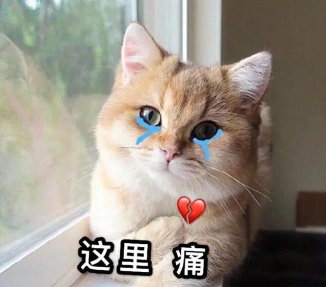 相貌平平古天乐，相貌平平古天乐什么梗（演员却个个长相惊艳）