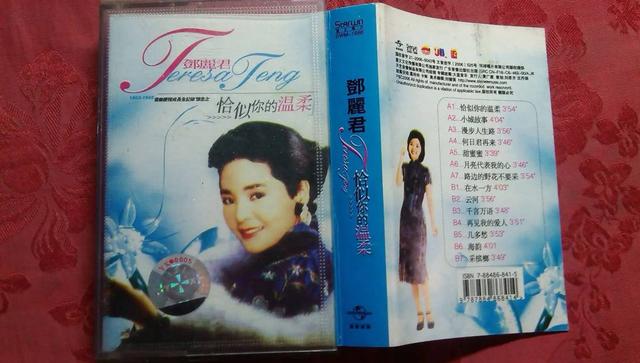 彭佳慧最好听的十首歌，网络歌曲最经典500首（关于她的5首经典歌曲）