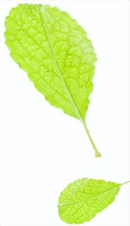 第二外国语学校，北京第二外国语学院2019年招生章程（太原市第二外国语学校）