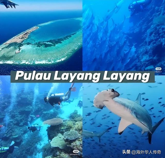 十大最美丽的海洋生物，海洋最漂亮的生物（马来西亚8个绝美必去的岛屿）