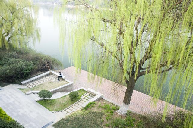 襄阳护城河介绍，温柔恬静的襄阳护城河