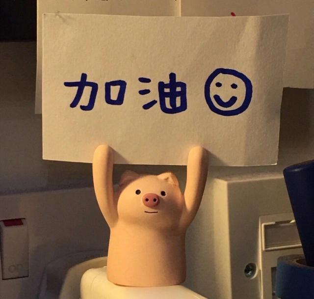 成人高考分数线，2020四川成人高考分数线汇总（成人高考专升本难不难考）