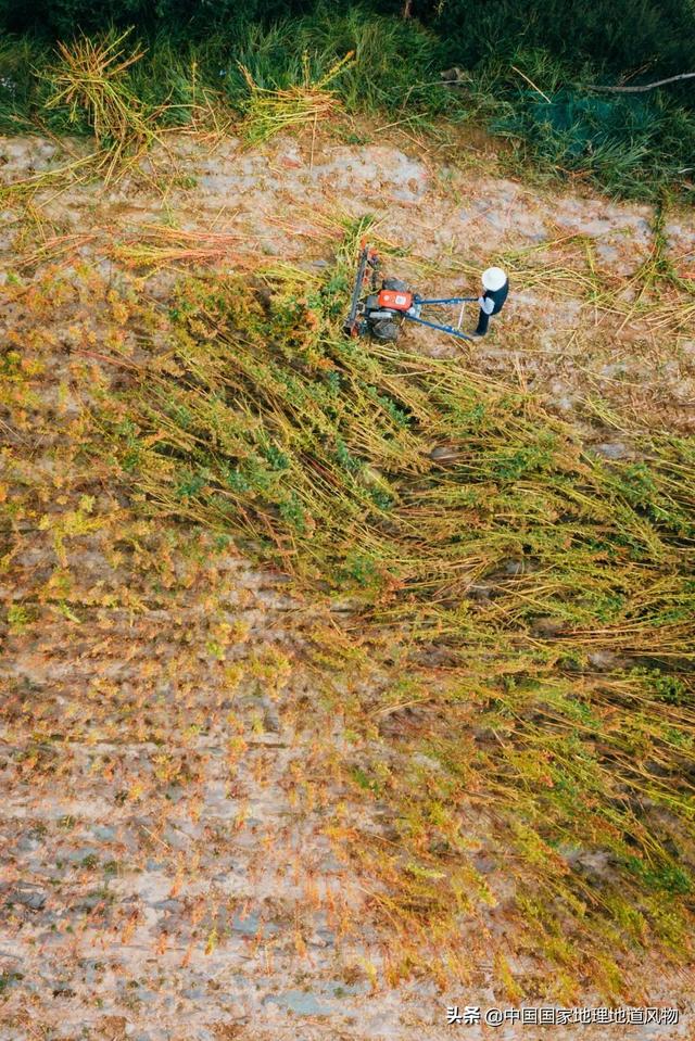 甜津津的食物有哪些，甜津津的食物有哪些呢（最地道的甘肃风味）