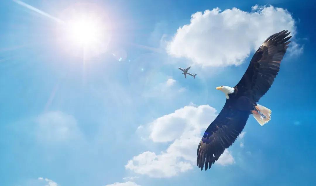 考试作文600字（2022中考押题）