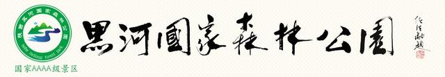 陕西黑河国家森林公园恢复开园！