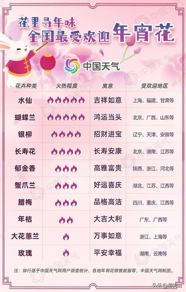 第十届花卉博览会的花是什么花，第十届中国花卉博览会会花是什么（年桔没能排进前五名）