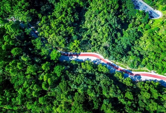 深圳游玩攻略必去的地方免费，7个遛娃好去处全免费