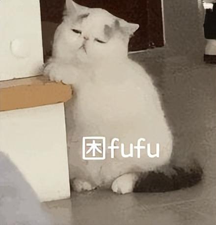 好看的表情包(10000种表情包图片大全)