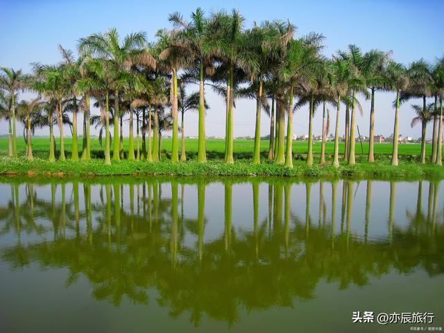 湛江湖光岩有哪些景点，湛江十大避暑旅游景点