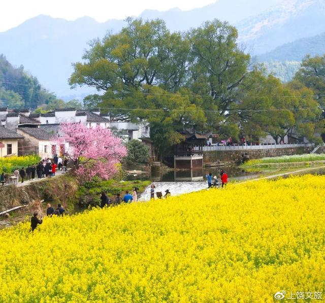 江西婺源最佳旅游景点，无论踏进婺源哪个村庄
