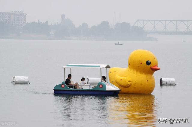 重庆和湖北哪个发达，重庆和湖北哪个面积大（湖北经济总量反超福建）