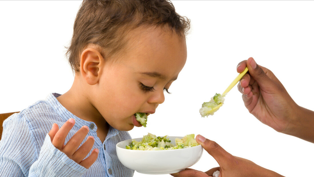 鸡内金片的功效与作用，鸡内金片的功效与作用和主治（每天吃鸡内金来消食健脾）
