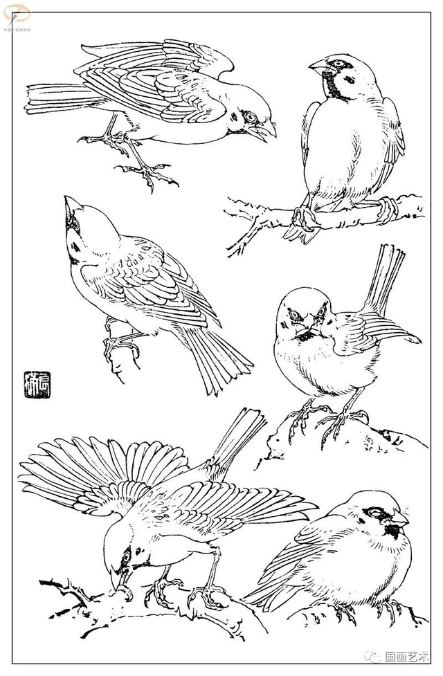 火的简笔画图片，火焰怎么画简笔画图片（画鸟参考——白描麻雀百图）