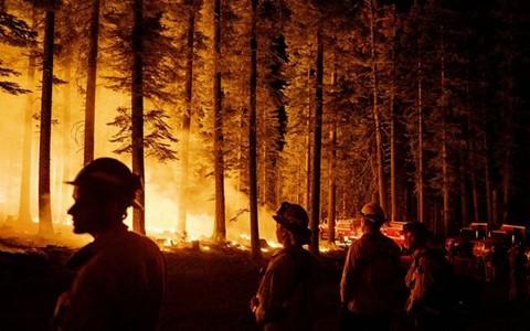camp fire 加州，气候未来 把握现在
