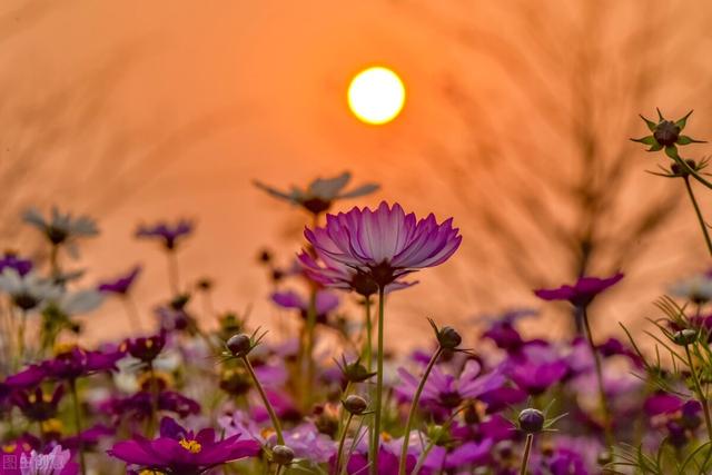 惦念一个人什么意思，思念一个人是什么意思（永远住在心里）