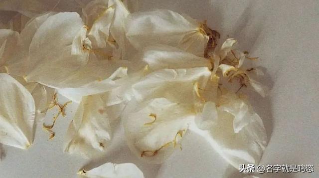 丁子裤是什么（穿丁字裤的女生，一定不检点）