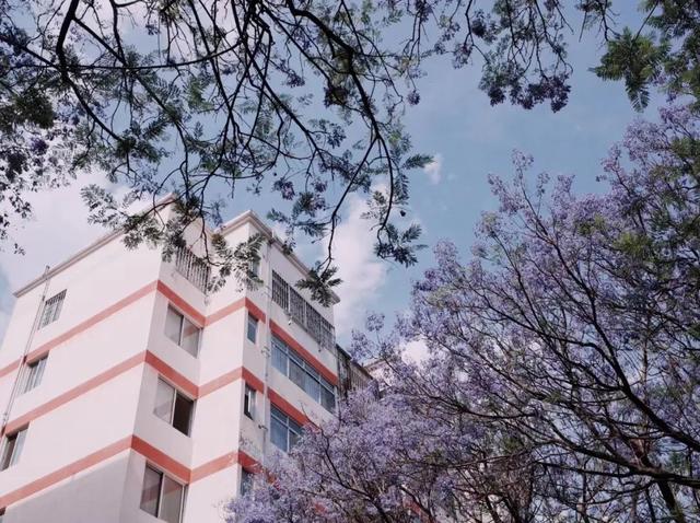 农村支教老师的真实生活，支教老师的“快乐生活”