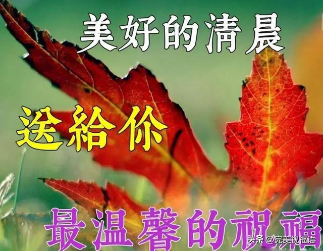 祝福话，祝福话语,句句暖人心（今日最新早上好表情精选）