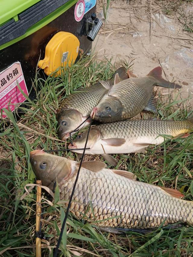 为什么太阳早上大中午小，《两小儿辩日》翻译（浅谈秋季野钓天气的变化）